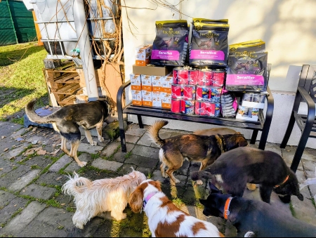 Čtyřlístek pro hafany, z.s.